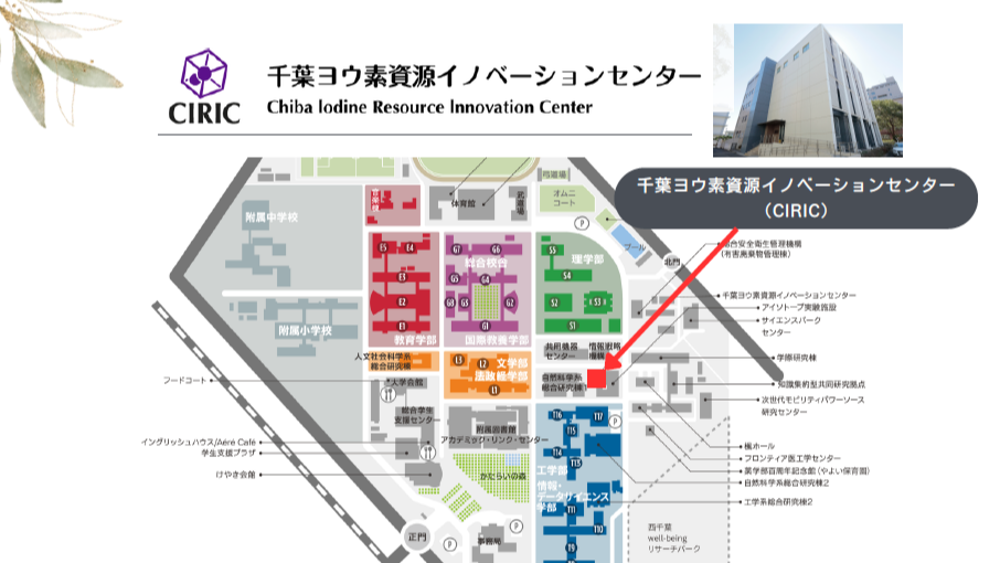 CIRICへのアクセス