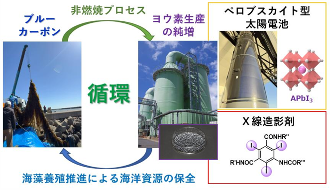 Chiba＿Project